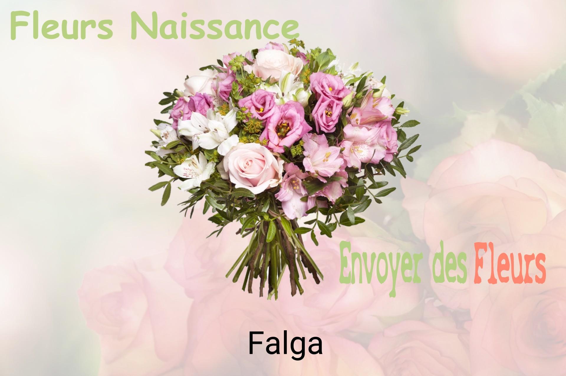 Bouquet de fleurs de naissance livré à Falga