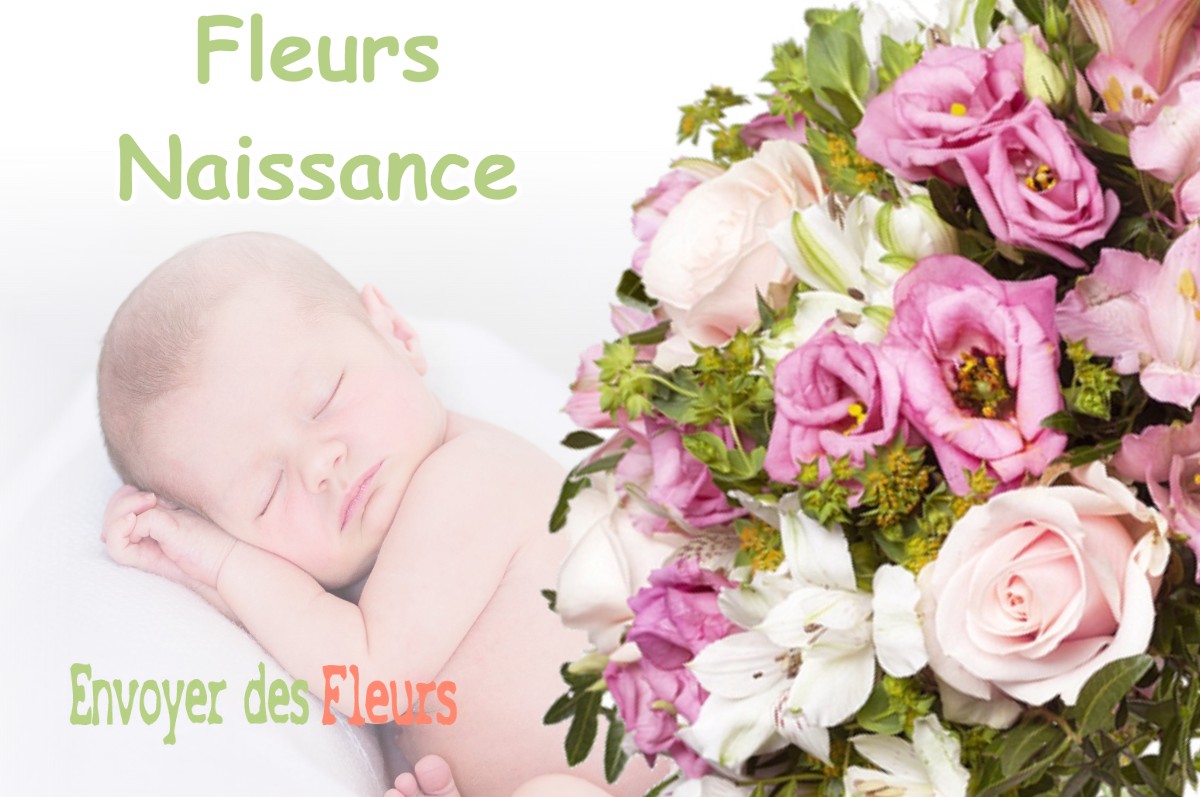 lIVRAISON FLEURS NAISSANCE à FALGA